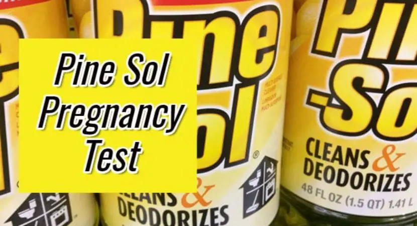 Homemade Pregnancy Test with Pine Sol