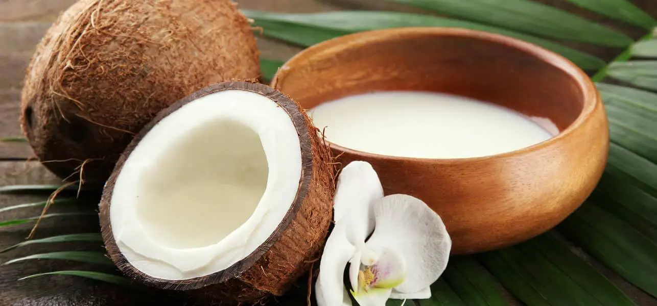 How Coconut Milk Is Good For Hair? SweetieBomb